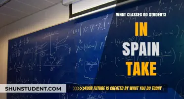 Exploring the Academic Curriculum: A Glimpse into Spanish Student Life