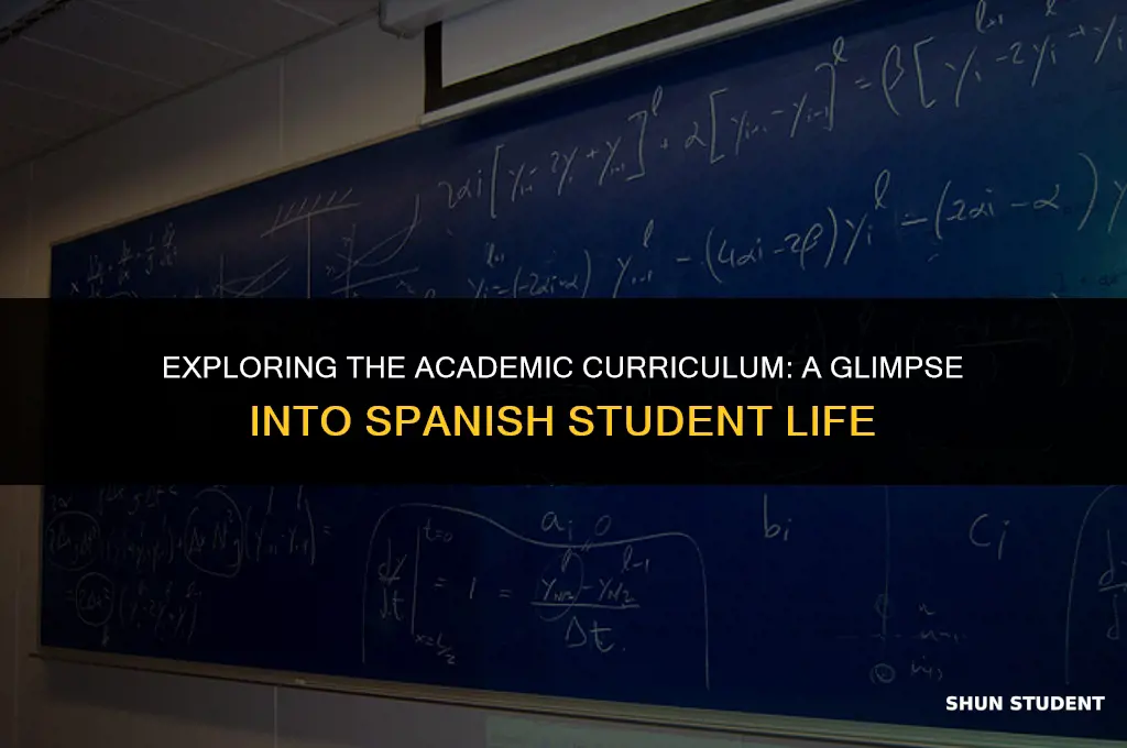 what classes do students in spain take