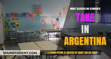 Exploring the Academic Landscape: A Guide to Classes in Argentina