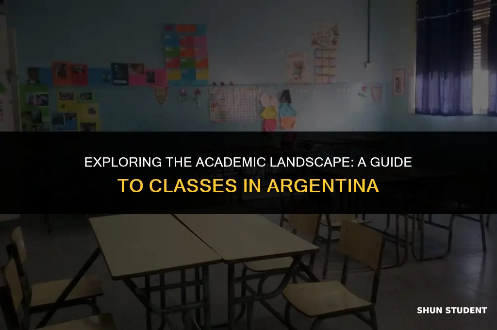 what classes do students take in argentina