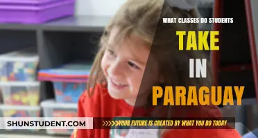 Exploring the Educational Curriculum: A Glimpse into Paraguayan Classrooms