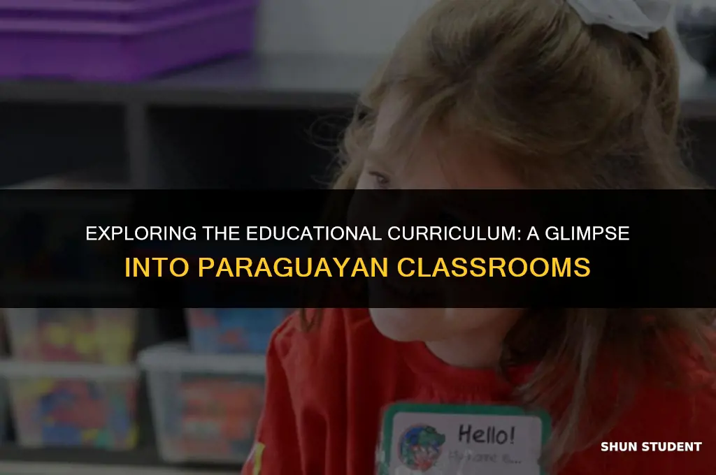 what classes do students take in paraguay