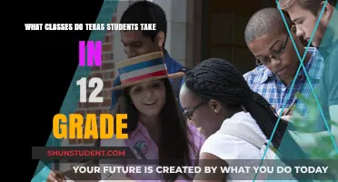 Exploring the Diverse Curriculum of Texas High School Seniors