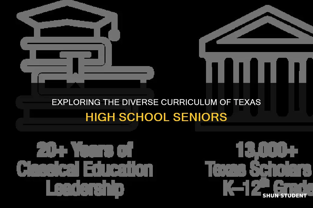 what classes do texas students take in 12 grade