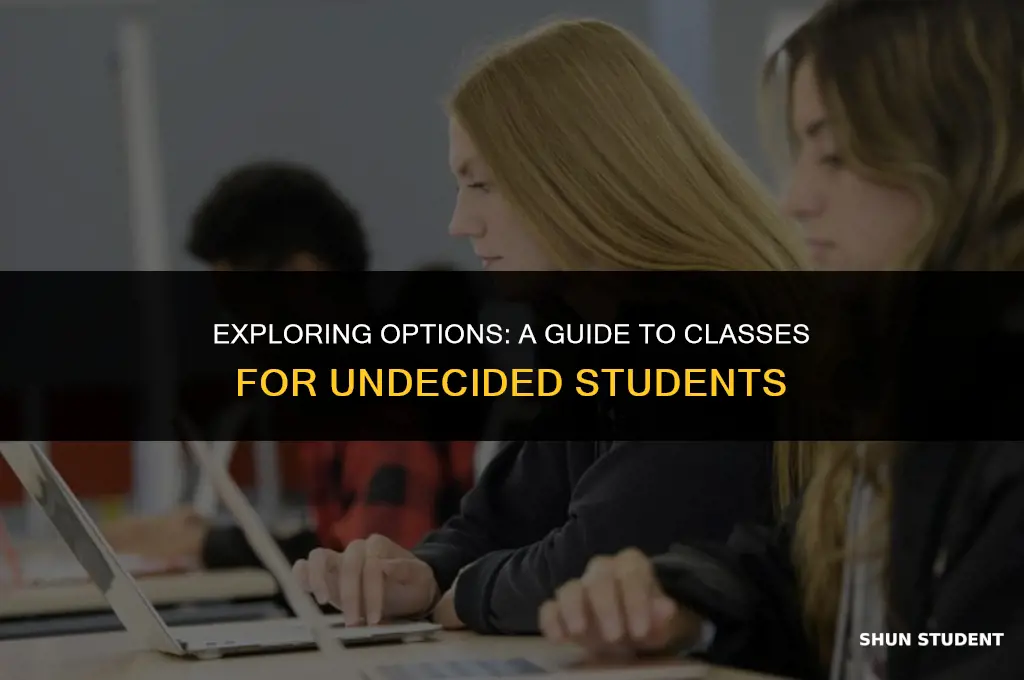 what classes do undecided students take