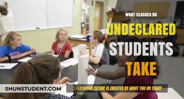 Exploring Academic Options: A Guide for Undeclared Students