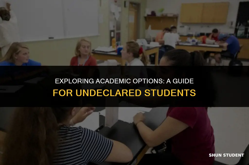 what classes do undeclared students take