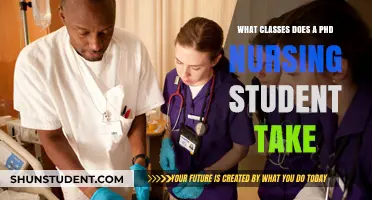 Exploring the Curriculum: PhD Nursing Student Coursework Overview
