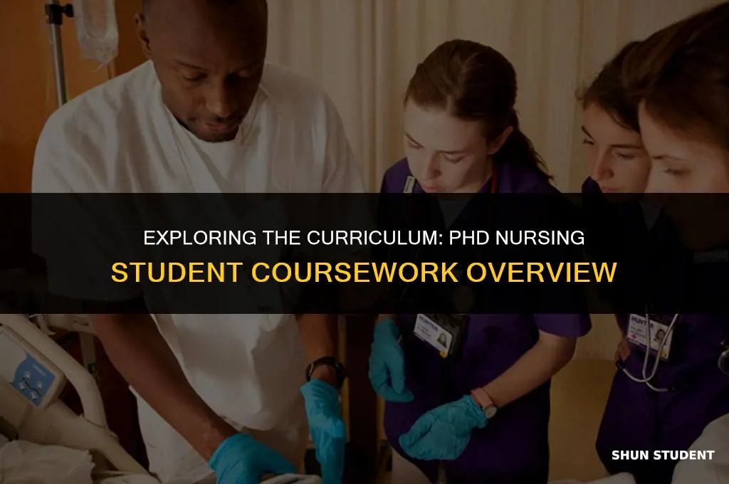 what classes does a phd nursing student take