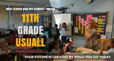 Exploring the Typical 11th Grade Curriculum in NYC Schools