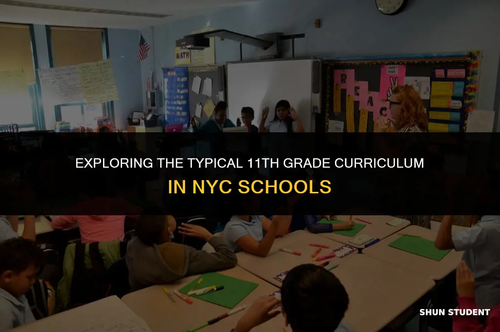 what classes does nyc students takes in 11th grade usuall