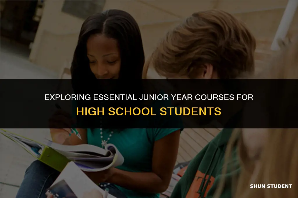 what classes should highschool students take jounior year
