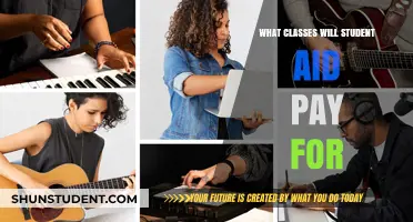 Student Aid: Which Classes Are Covered?