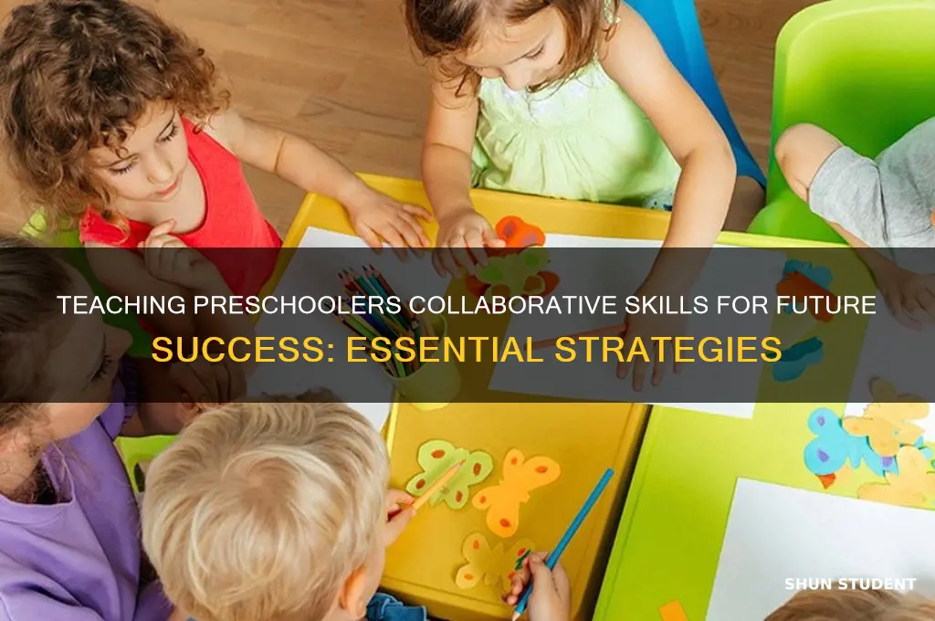 what collaborative skills do you teach your preschool students