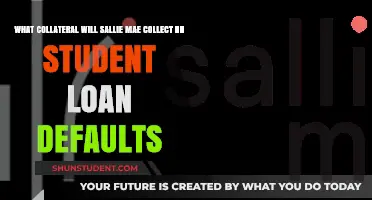 Sallie Mae's Collateral Collection Process for Defaulted Student Loans Explained