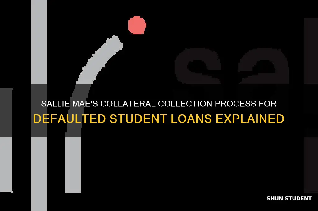 what collateral will sallie mae collect on student loan defaults