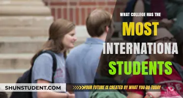 International Student Hub: Which College Attracts the Most?