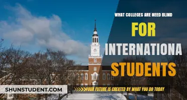Best Need-Blind Colleges for International Students