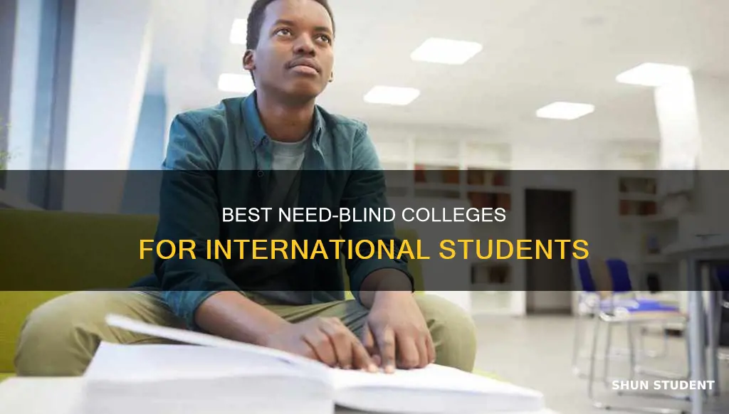 what colleges are need blind for international students