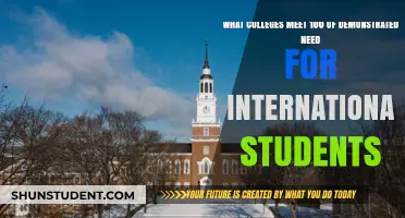 Top Colleges Offering Full Financial Aid to International Students