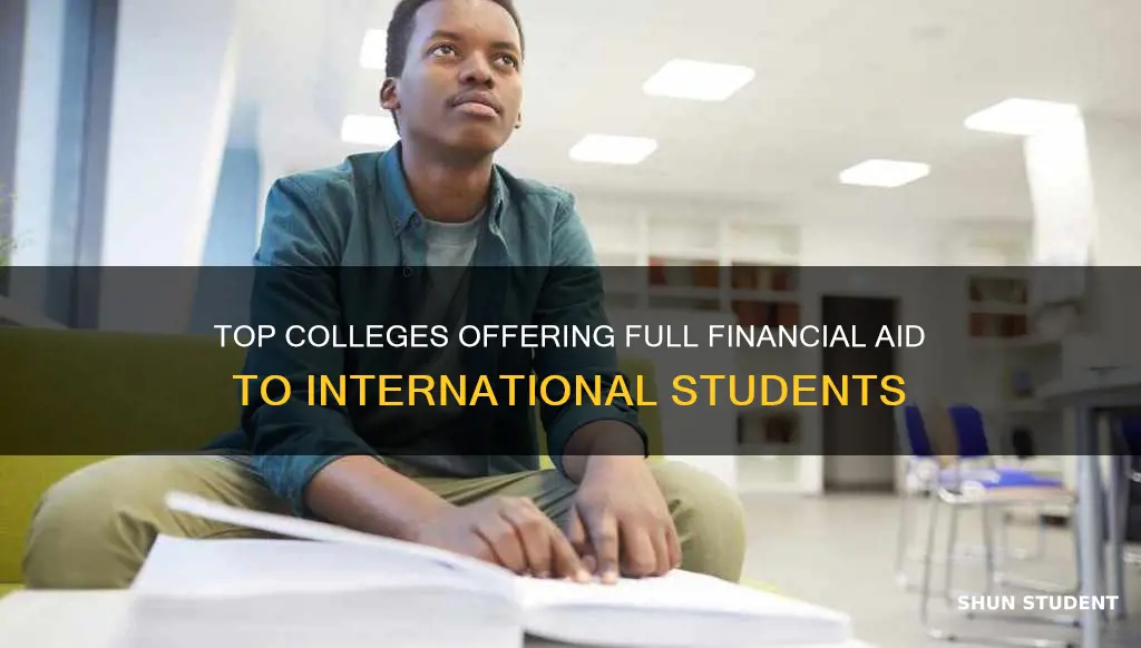 what colleges meet 100 of demonstrated need for international students