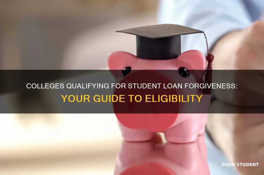 what colleges qualify for student loan forgiveness