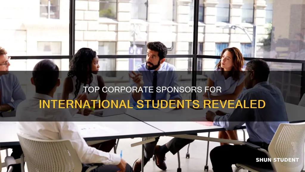 what companies are sponsoring the most international students