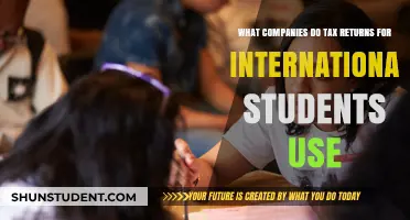 International Student Tax Returns: Which Companies to Use?