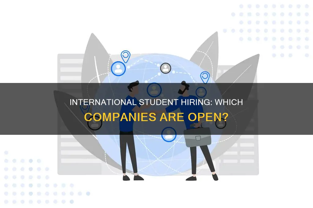 what companies hire international students