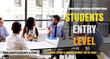 Sponsorship Opportunities for International Students: Entry-Level