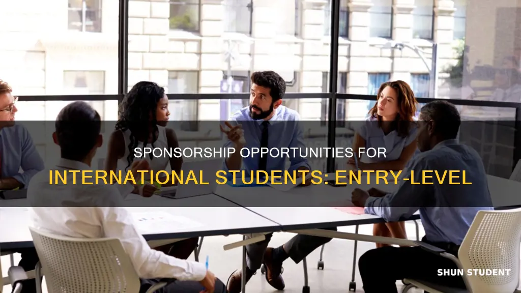what companies sponsor international students entry level
