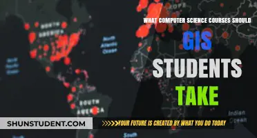 Essential Computer Science Courses for GIS Students: A Comprehensive Guide