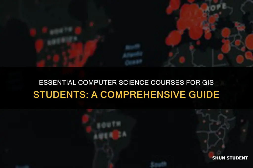 what computer science courses should gis students take