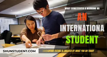 International Student Jobs: What You Need to Know