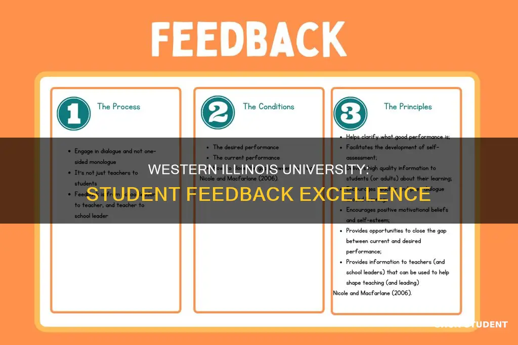 what constitutes excellent student feedback at western illinois university