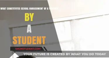 Understanding Student-to-Teacher Sexual Harassment: Boundaries, Behaviors, and Consequences