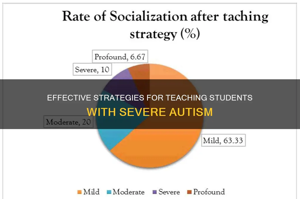 what content to teach student with severe autism
