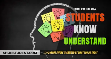 Mastering Learning Outcomes: What Students Truly Grasp and Retain