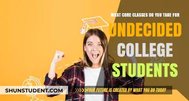 Exploring Core Classes for Undecided College Students: A Guide