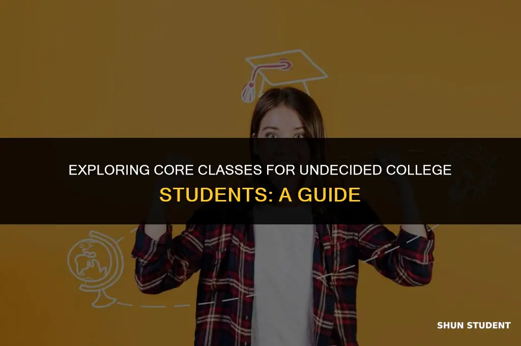 what core classes do you take for undecided college students