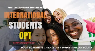 International Students: Make the Most of Your OPT Grace Period