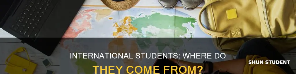 what countries do international students come from