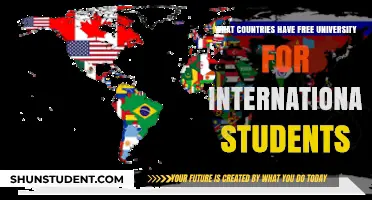 Free University Education: Where International Students Can Study