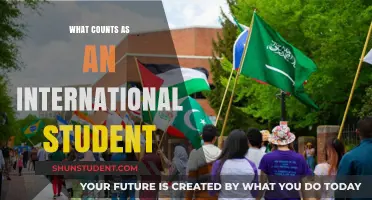 Understanding International Student Status: Who Qualifies?