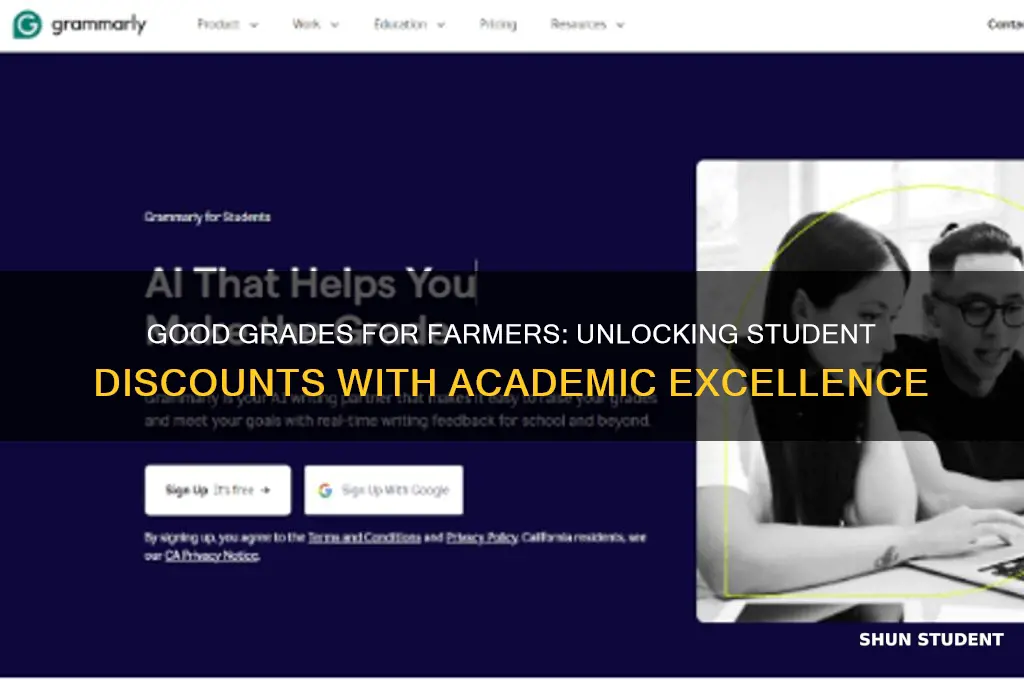 what counts as good grades for good student discount farmers