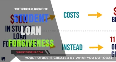 Understanding Income Eligibility for Student Loan Forgiveness Programs