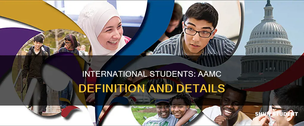 what counts as international student aamc