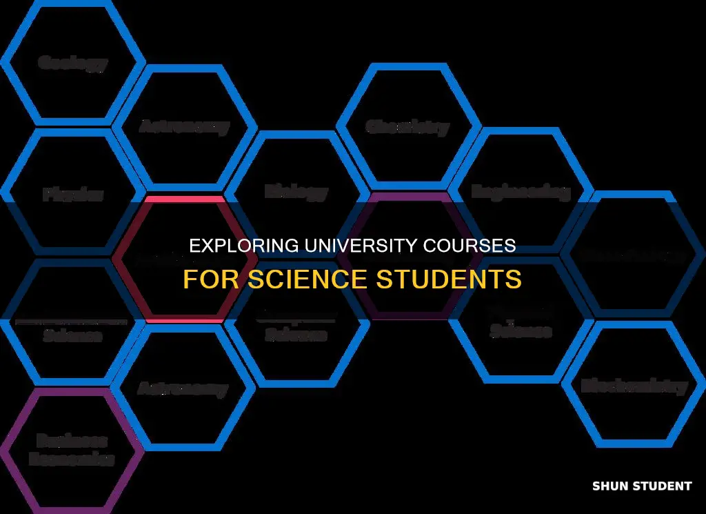 what course can a science student study in university
