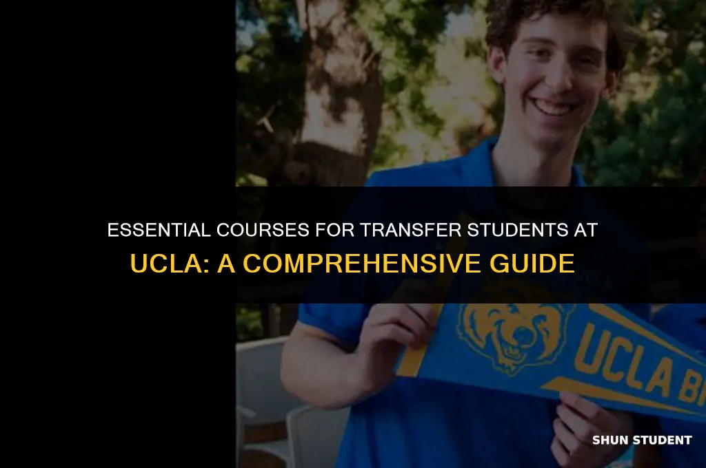 what course do ucla transfer student need to take