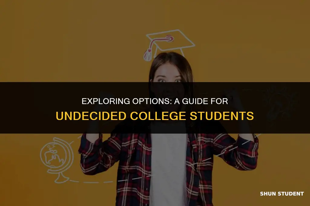 what course do you take for undecided college students